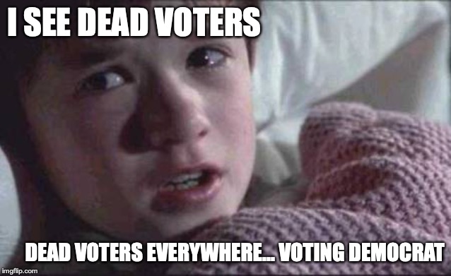 I See Dead People | I SEE DEAD VOTERS; DEAD VOTERS EVERYWHERE... VOTING DEMOCRAT | image tagged in memes,i see dead people | made w/ Imgflip meme maker