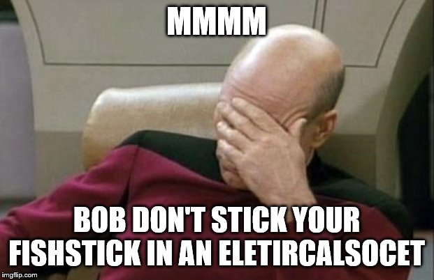 Captain Picard Facepalm Meme | MMMM; BOB DON'T STICK YOUR FISHSTICK IN AN ELETIRCALSOCET | image tagged in memes,captain picard facepalm | made w/ Imgflip meme maker