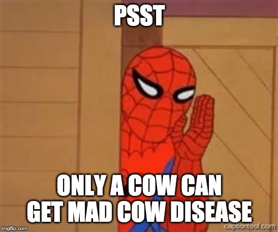 psst spiderman | PSST ONLY A COW CAN GET MAD COW DISEASE | image tagged in psst spiderman | made w/ Imgflip meme maker