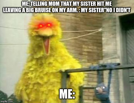 0_o | ME: TELLING MOM THAT MY SISTER HIT ME LEAVING A BIG BRUISE ON MY ARM. : MY SISTER"NO I DIDN'T; ME: | image tagged in disaster girl | made w/ Imgflip meme maker