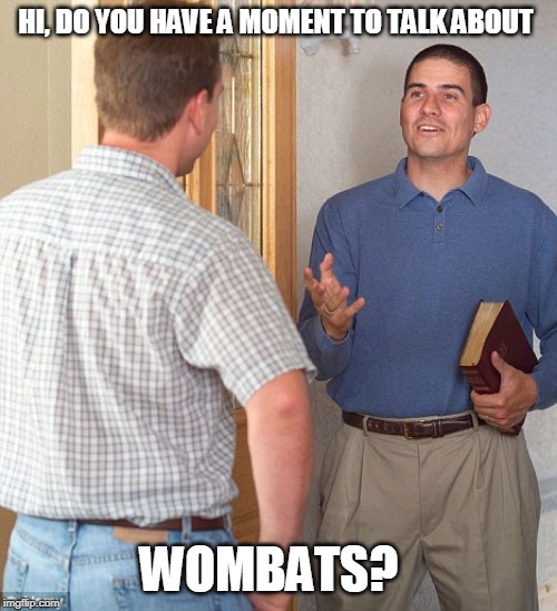Jehovah's witness | HI, DO YOU HAVE A MOMENT TO TALK ABOUT; WOMBATS? | image tagged in jehovah's witness | made w/ Imgflip meme maker