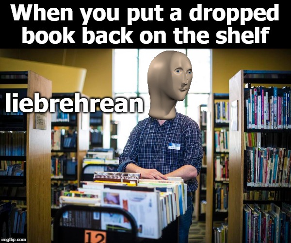 Stonks Careers #1 | When you put a dropped book back on the shelf; liebrehrean | image tagged in stonks | made w/ Imgflip meme maker