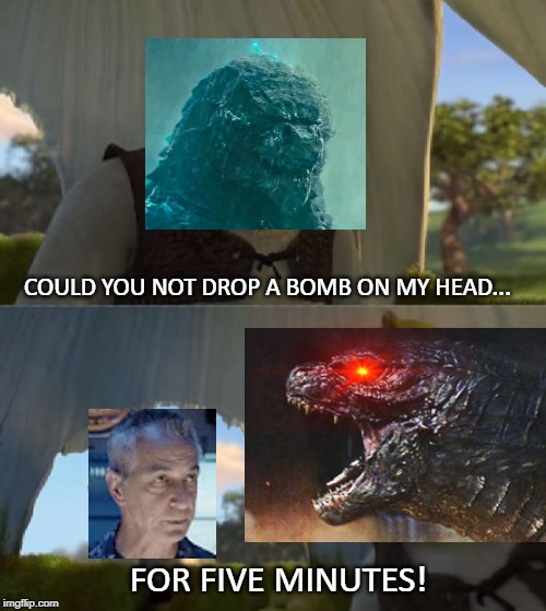 Could you not ___ for 5 MINUTES | COULD YOU NOT DROP A BOMB ON MY HEAD... FOR FIVE MINUTES! | image tagged in could you not ___ for 5 minutes | made w/ Imgflip meme maker