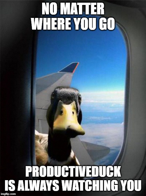 Just kidding, don't take this too seriously | NO MATTER WHERE YOU GO; PRODUCTIVEDUCK IS ALWAYS WATCHING YOU | image tagged in airplane duck,ducks,funny,memes | made w/ Imgflip meme maker