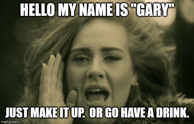 adele hello | HELLO MY NAME IS "GARY" JUST MAKE IT UP.  OR GO HAVE A DRINK. | image tagged in adele hello | made w/ Imgflip meme maker