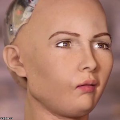 AI robot lady weird face | image tagged in ai robot lady weird face | made w/ Imgflip meme maker