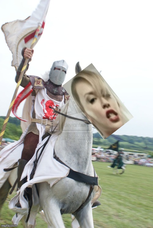 White Knight | image tagged in white knight | made w/ Imgflip meme maker