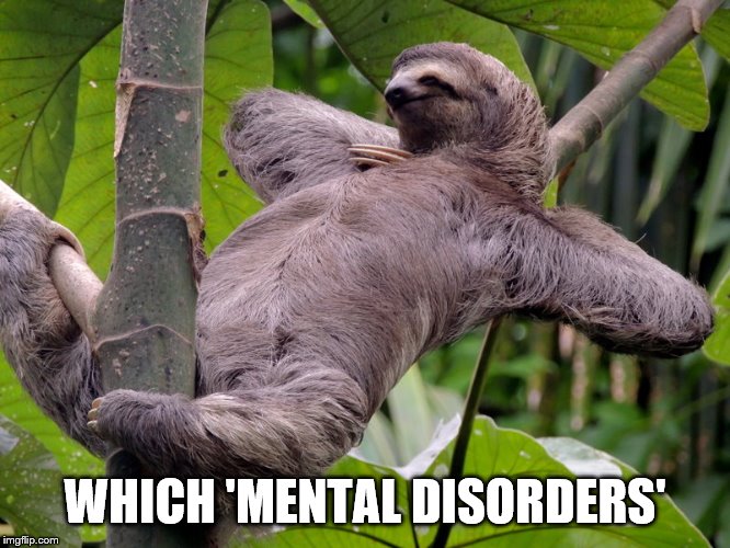 Lazy Sloth | WHICH 'MENTAL DISORDERS' | image tagged in lazy sloth | made w/ Imgflip meme maker