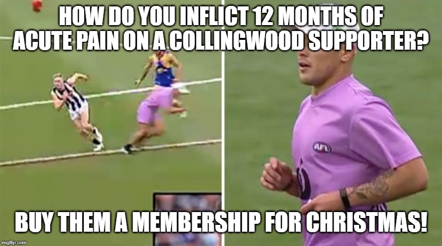 Collingwood runner | HOW DO YOU INFLICT 12 MONTHS OF ACUTE PAIN ON A COLLINGWOOD SUPPORTER? BUY THEM A MEMBERSHIP FOR CHRISTMAS! | image tagged in collingwood runner | made w/ Imgflip meme maker