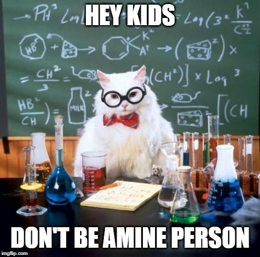 Chemistry Cat Meme | HEY KIDS; DON'T BE AMINE PERSON | image tagged in memes,chemistry cat | made w/ Imgflip meme maker