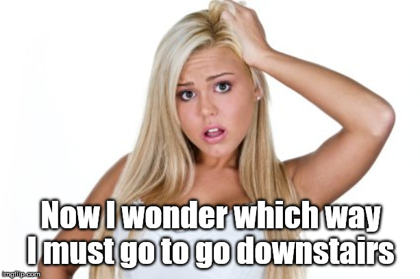 Dumb Blonde | Now I wonder which way I must go to go downstairs | image tagged in dumb blonde | made w/ Imgflip meme maker