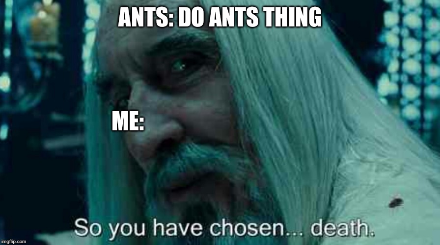 Ants | ANTS: DO ANTS THING; ME: | image tagged in so you have chosen death,memes,funny,ants | made w/ Imgflip meme maker