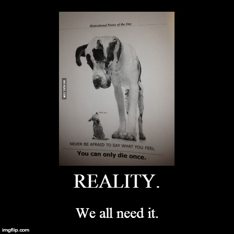 Reality | image tagged in funny,demotivationals | made w/ Imgflip demotivational maker