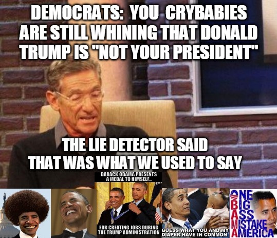 Maury Lie Detector | DEMOCRATS:  YOU  CRYBABIES ARE STILL WHINING THAT DONALD TRUMP IS "NOT YOUR PRESIDENT"; THE LIE DETECTOR SAID THAT WAS WHAT WE USED TO SAY | image tagged in maury lie detector | made w/ Imgflip meme maker