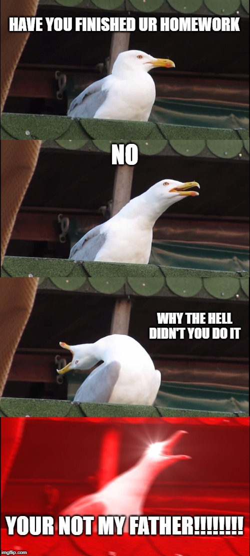 Inhaling Seagull Meme | HAVE YOU FINISHED UR HOMEWORK; NO; WHY THE HELL DIDN'T YOU DO IT; YOUR NOT MY FATHER!!!!!!!! | image tagged in memes,inhaling seagull | made w/ Imgflip meme maker
