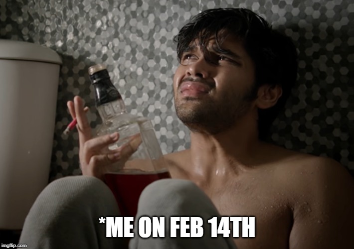 VALENTINES DAY MEMES | *ME ON FEB 14TH | image tagged in grumpy cat | made w/ Imgflip meme maker