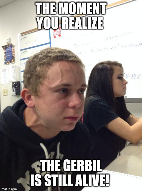 Gerbil still alive | THE MOMENT YOU REALIZE; THE GERBIL IS STILL ALIVE! | image tagged in hold fart,anal probes,anal,furry,surprise buttsex | made w/ Imgflip meme maker