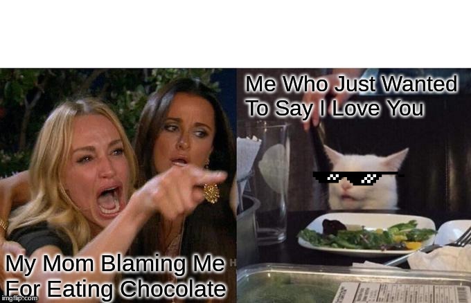 Woman Yelling At Cat | Me Who Just Wanted To Say I Love You; My Mom Blaming Me For Eating Chocolate | image tagged in memes,woman yelling at cat | made w/ Imgflip meme maker
