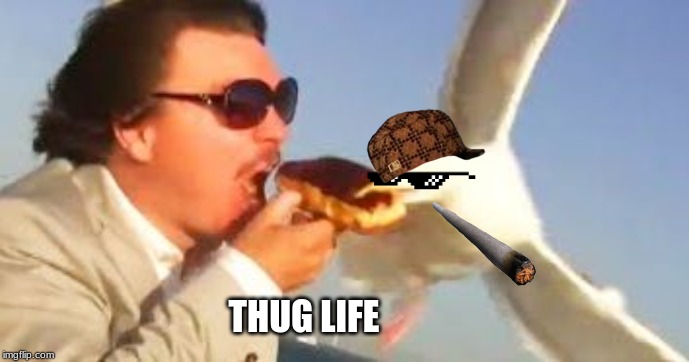 swiping seagull | THUG LIFE | image tagged in swiping seagull | made w/ Imgflip meme maker