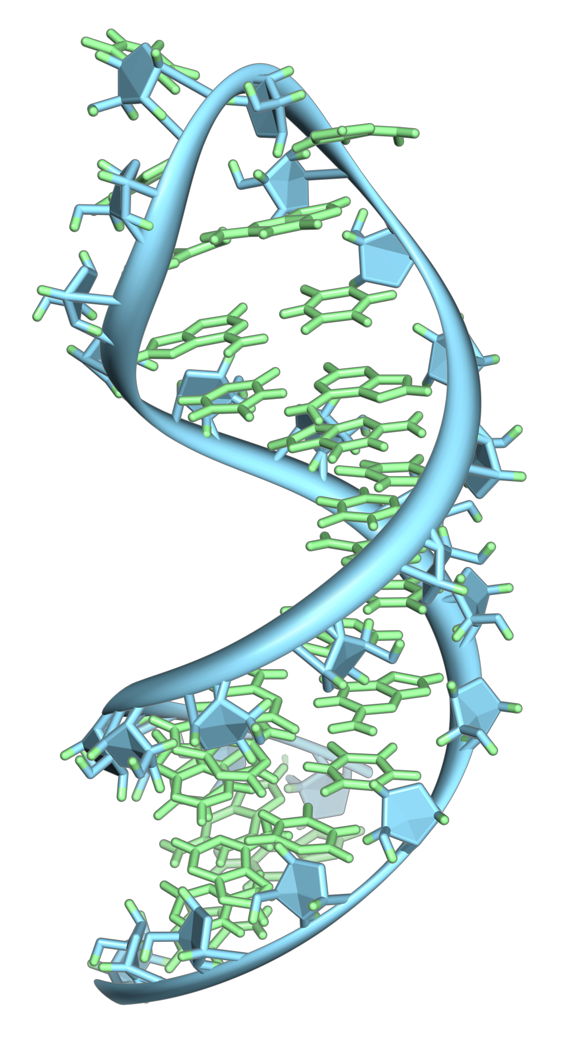 RNA 3D Blank Meme Template