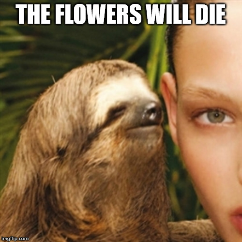 Whisper Sloth Meme | THE FLOWERS WILL DIE | image tagged in memes,whisper sloth | made w/ Imgflip meme maker