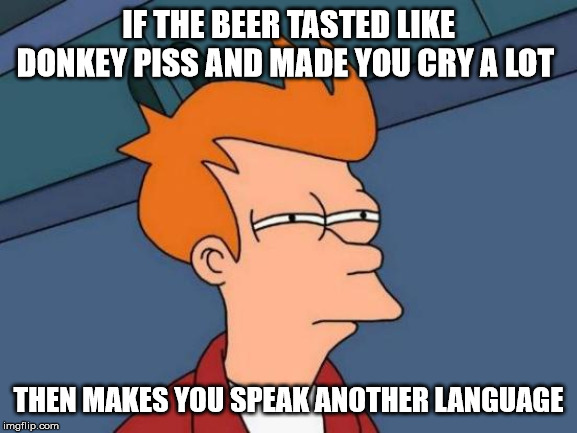 Futurama Fry Meme | IF THE BEER TASTED LIKE DONKEY PISS AND MADE YOU CRY A LOT THEN MAKES YOU SPEAK ANOTHER LANGUAGE | image tagged in memes,futurama fry | made w/ Imgflip meme maker