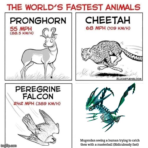 Well... Despite being a new OC, they are pretty fast for an Eternatus. | Mugendan seeing a human trying to catch then with a masterball (Ridiculously fast) | image tagged in the world's fastest animals,pokemon,ocs | made w/ Imgflip meme maker