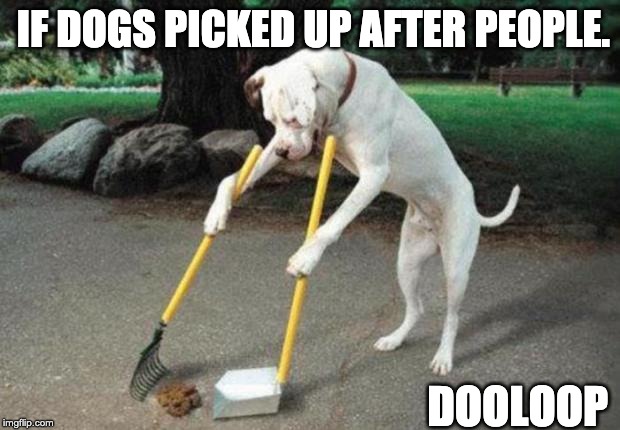 Dog poop | IF DOGS PICKED UP AFTER PEOPLE. DOOLOOP | image tagged in dog poop | made w/ Imgflip meme maker