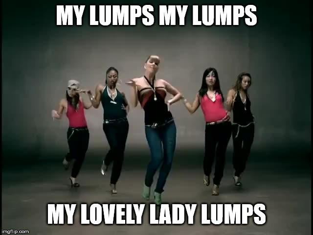 MY LUMPS MY LUMPS MY LOVELY LADY LUMPS | made w/ Imgflip meme maker
