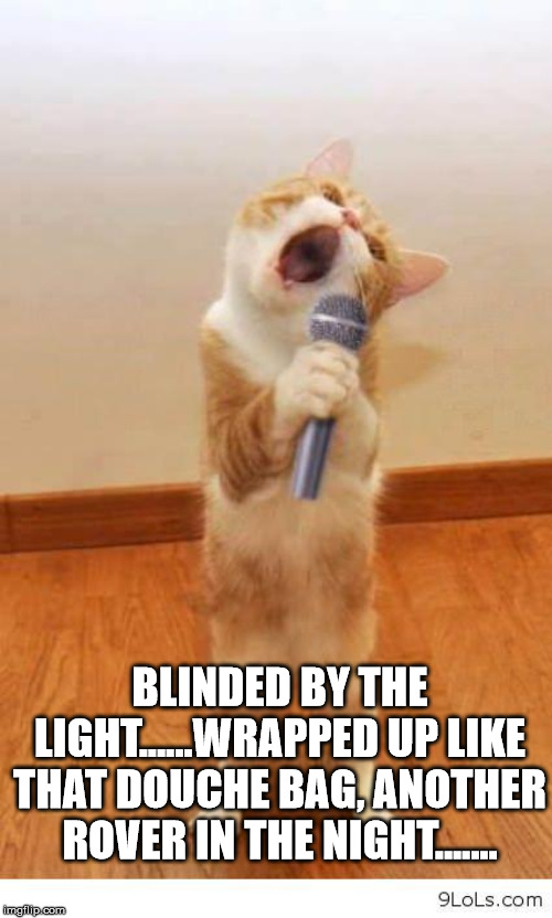 Cat Singer | BLINDED BY THE LIGHT......WRAPPED UP LIKE THAT DOUCHE BAG, ANOTHER ROVER IN THE NIGHT....... | image tagged in cat singer | made w/ Imgflip meme maker