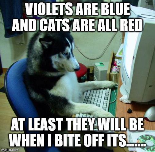 I Have No Idea What I Am Doing Meme | VIOLETS ARE BLUE AND CATS ARE ALL RED AT LEAST THEY WILL BE WHEN I BITE OFF ITS....... | image tagged in memes,i have no idea what i am doing | made w/ Imgflip meme maker