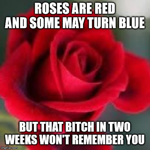 roses are red | ROSES ARE RED AND SOME MAY TURN BLUE BUT THAT B**CH IN TWO WEEKS WON'T REMEMBER YOU | image tagged in roses are red | made w/ Imgflip meme maker