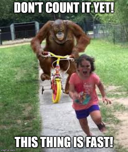 Monkey Chasing little girl | DON'T COUNT IT YET! THIS THING IS FAST! | image tagged in monkey chasing little girl | made w/ Imgflip meme maker