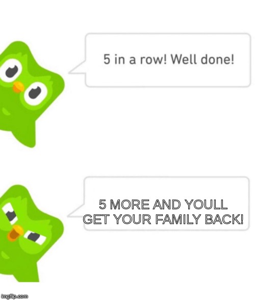 Duolingo 5 in a row | 5 MORE AND YOULL GET YOUR FAMILY BACK! | image tagged in duolingo 5 in a row | made w/ Imgflip meme maker