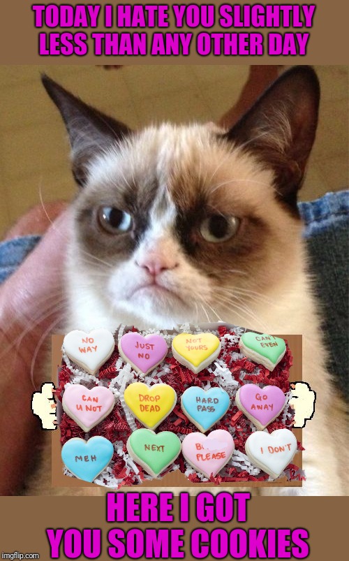 If Grumpy Cat Was to Celebrate Valentine's Day | TODAY I HATE YOU SLIGHTLY LESS THAN ANY OTHER DAY; HERE I GOT YOU SOME COOKIES | image tagged in grumpy cat cardboard sign,valentine's day | made w/ Imgflip meme maker
