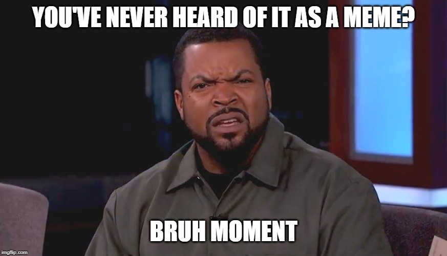 Really? Ice Cube | YOU'VE NEVER HEARD OF IT AS A MEME? BRUH MOMENT | image tagged in really ice cube | made w/ Imgflip meme maker