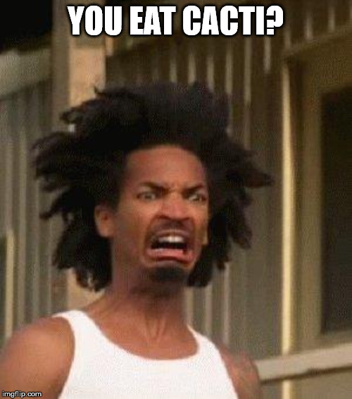 Disgusted Face | YOU EAT CACTI? | image tagged in disgusted face | made w/ Imgflip meme maker