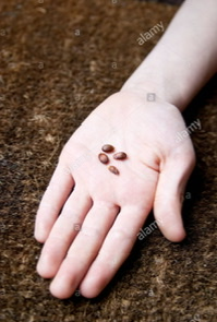 Hand with seeds Blank Meme Template