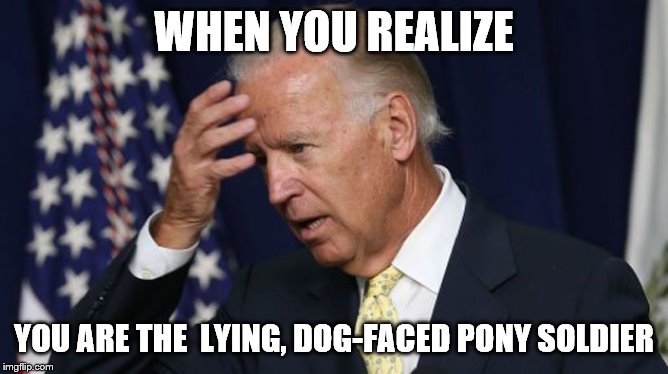 Joe Biden worries | WHEN YOU REALIZE; YOU ARE THE  LYING, DOG-FACED PONY SOLDIER | image tagged in joe biden worries | made w/ Imgflip meme maker