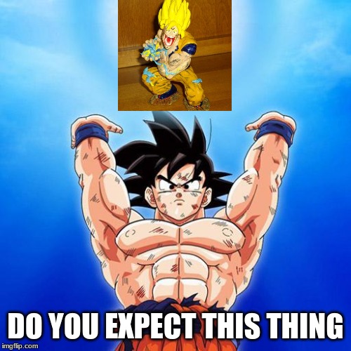 Knock off goku | DO YOU EXPECT THIS THING | image tagged in goku spirit bomb,dragon ball z,bootleg | made w/ Imgflip meme maker