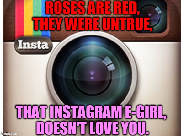 ROSES ARE RED,
THEY WERE UNTRUE, THAT INSTAGRAM E-GIRL,
 DOESN'T LOVE YOU. | made w/ Imgflip meme maker