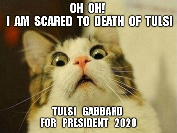 Scared Cat Meme | OH  OH! 
 I  AM  SCARED  TO  DEATH  OF  TULSI; TULSI   GABBARD 
FOR   PRESIDENT   2020 | image tagged in memes,scared cat | made w/ Imgflip meme maker