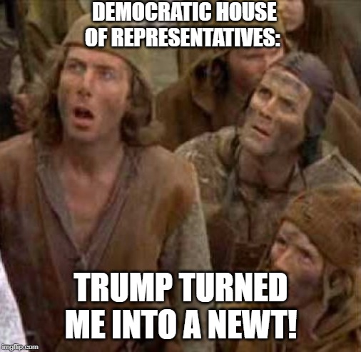 Turned me into a newt | DEMOCRATIC HOUSE OF REPRESENTATIVES:; TRUMP TURNED ME INTO A NEWT! | image tagged in turned me into a newt | made w/ Imgflip meme maker