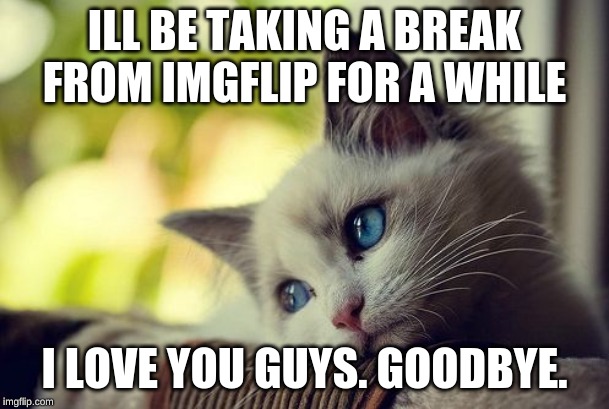 First World Problems Cat | ILL BE TAKING A BREAK FROM IMGFLIP FOR A WHILE; I LOVE YOU GUYS. GOODBYE. | image tagged in memes,first world problems cat | made w/ Imgflip meme maker