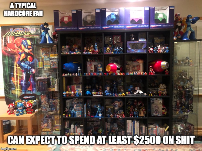 Hardcore Mega Man Fan | A TYPICAL HARDCORE FAN; CAN EXPECT TO SPEND AT LEAST $2500 ON SHIT | image tagged in megaman,memes | made w/ Imgflip meme maker