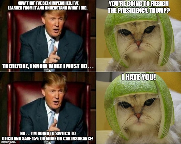 Donald Trump and the Cat In the Lime Football Helmet | image tagged in donald trump,cat in lime football helmet,geico | made w/ Imgflip meme maker