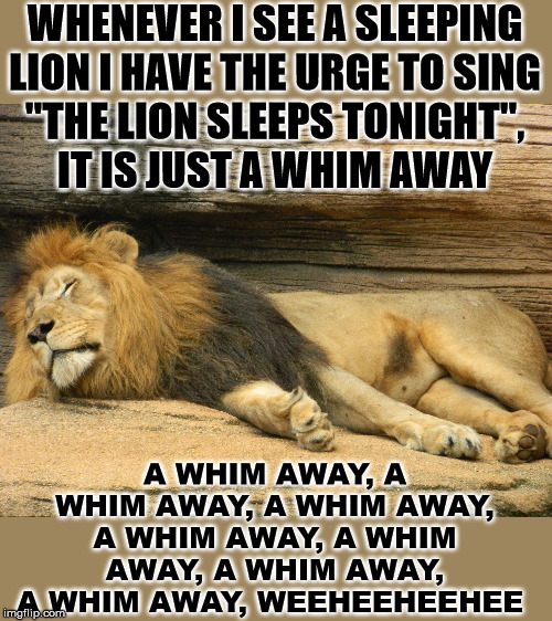 I am such a token to create this meme. | WHENEVER I SEE A SLEEPING LION I HAVE THE URGE TO SING
 "THE LION SLEEPS TONIGHT", 
IT IS JUST A WHIM AWAY; A WHIM AWAY, A WHIM AWAY, A WHIM AWAY, A WHIM AWAY, A WHIM AWAY, A WHIM AWAY, A WHIM AWAY, WEEHEEHEEHEE | image tagged in lion,sleeping,tonight,song lyrics | made w/ Imgflip meme maker