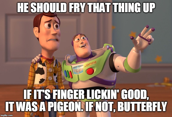 X, X Everywhere Meme | HE SHOULD FRY THAT THING UP IF IT'S FINGER LICKIN' GOOD, IT WAS A PIGEON. IF NOT, BUTTERFLY | image tagged in memes,x x everywhere | made w/ Imgflip meme maker