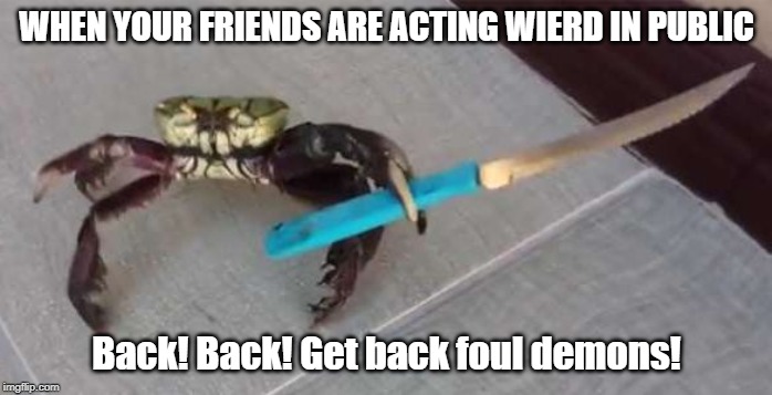 Crab with Knife | WHEN YOUR FRIENDS ARE ACTING WIERD IN PUBLIC; Back! Back! Get back foul demons! | image tagged in crab with knife | made w/ Imgflip meme maker