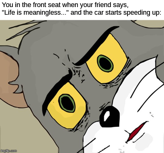 Unsettled Tom Meme | You in the front seat when your friend says, "Life is meaningless..." and the car starts speeding up: | image tagged in memes,unsettled tom | made w/ Imgflip meme maker
